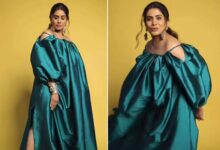 sonali kulkarni photo